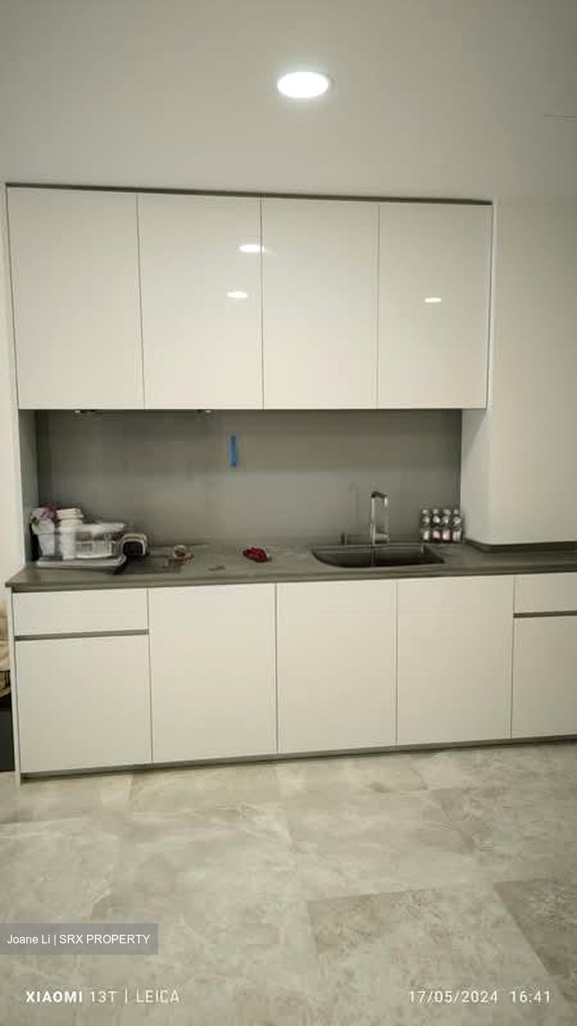 Amber Park (D15), Condominium #548167481